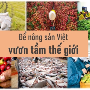 50-loai-thuc-pham-sieu-tot-cho-suc-khoe